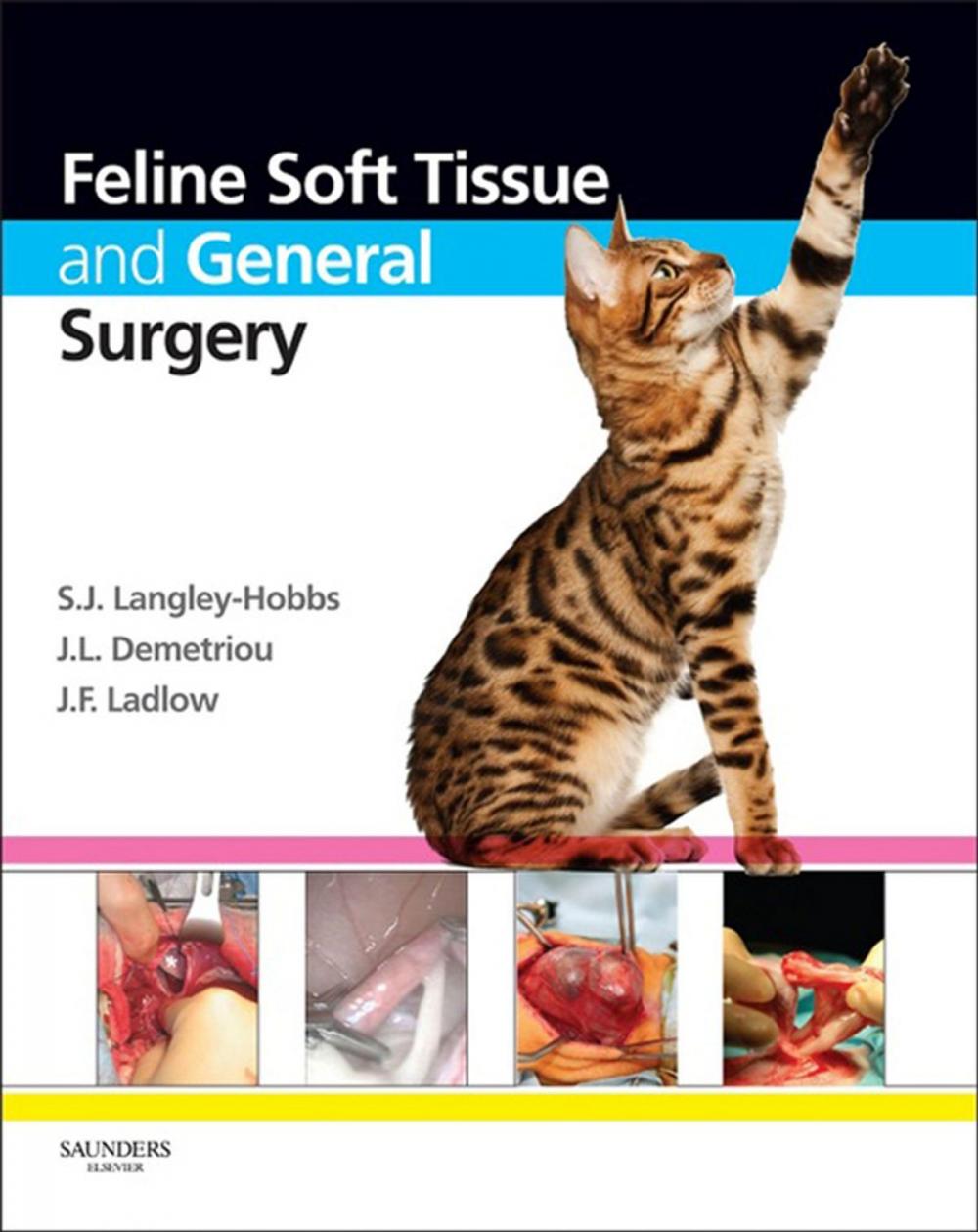 Big bigCover of Feline Soft Tissue and General Surgery E-Book