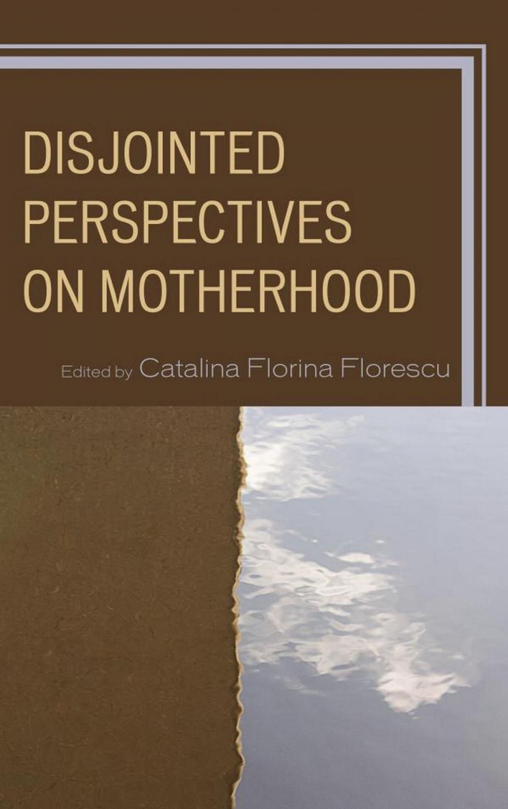 Big bigCover of Disjointed Perspectives on Motherhood