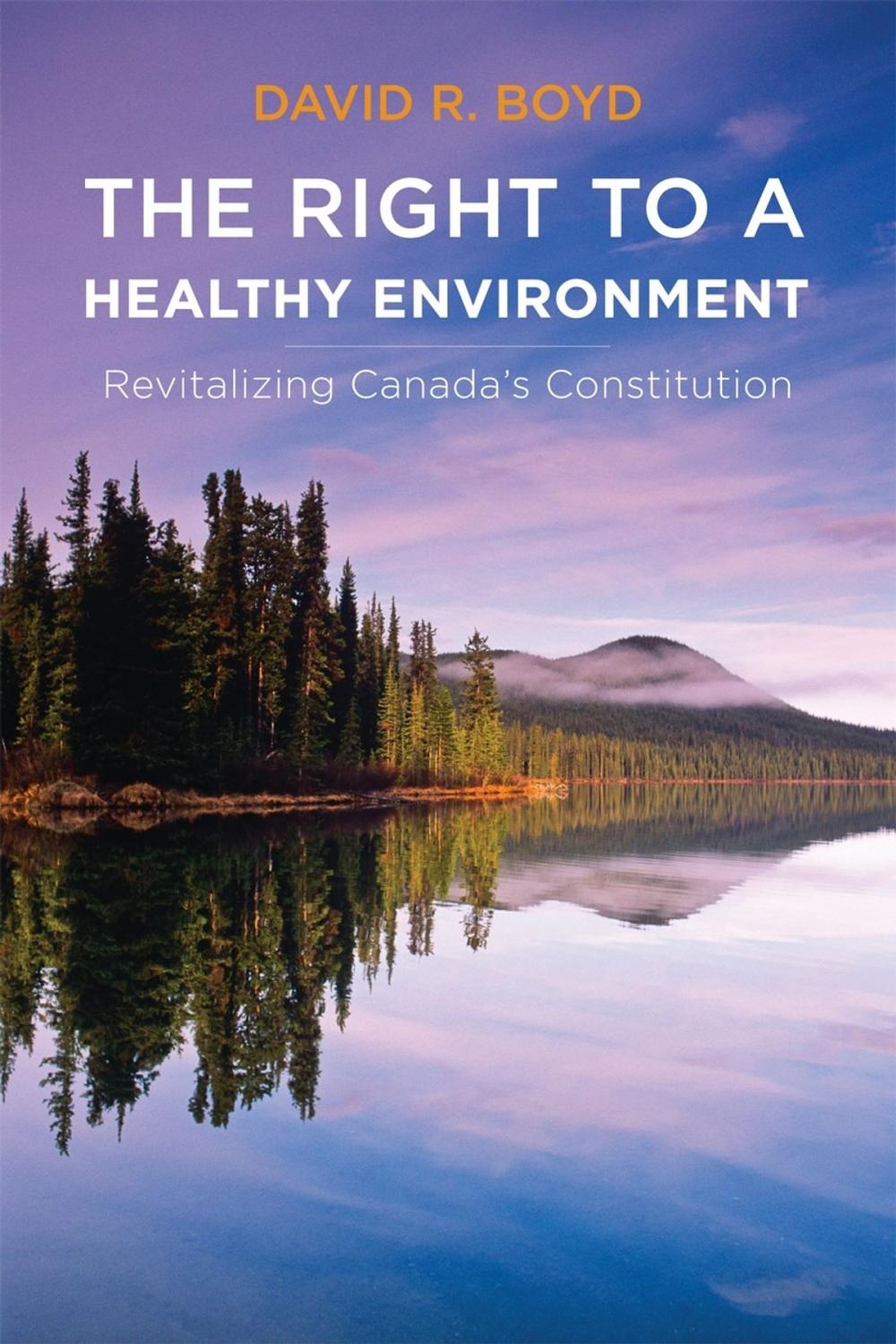 Big bigCover of The Right to a Healthy Environment