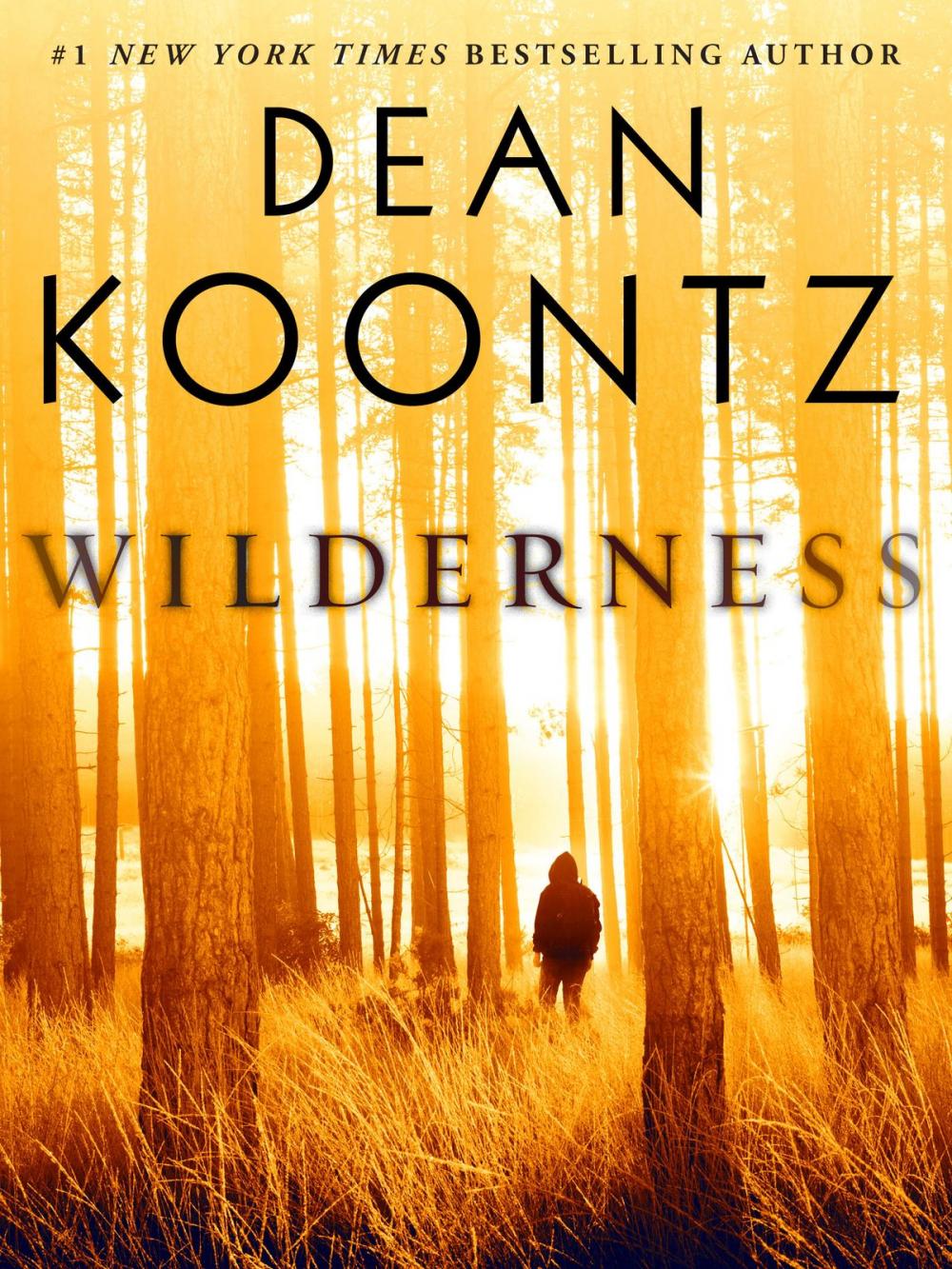 Big bigCover of Wilderness (Short Story)