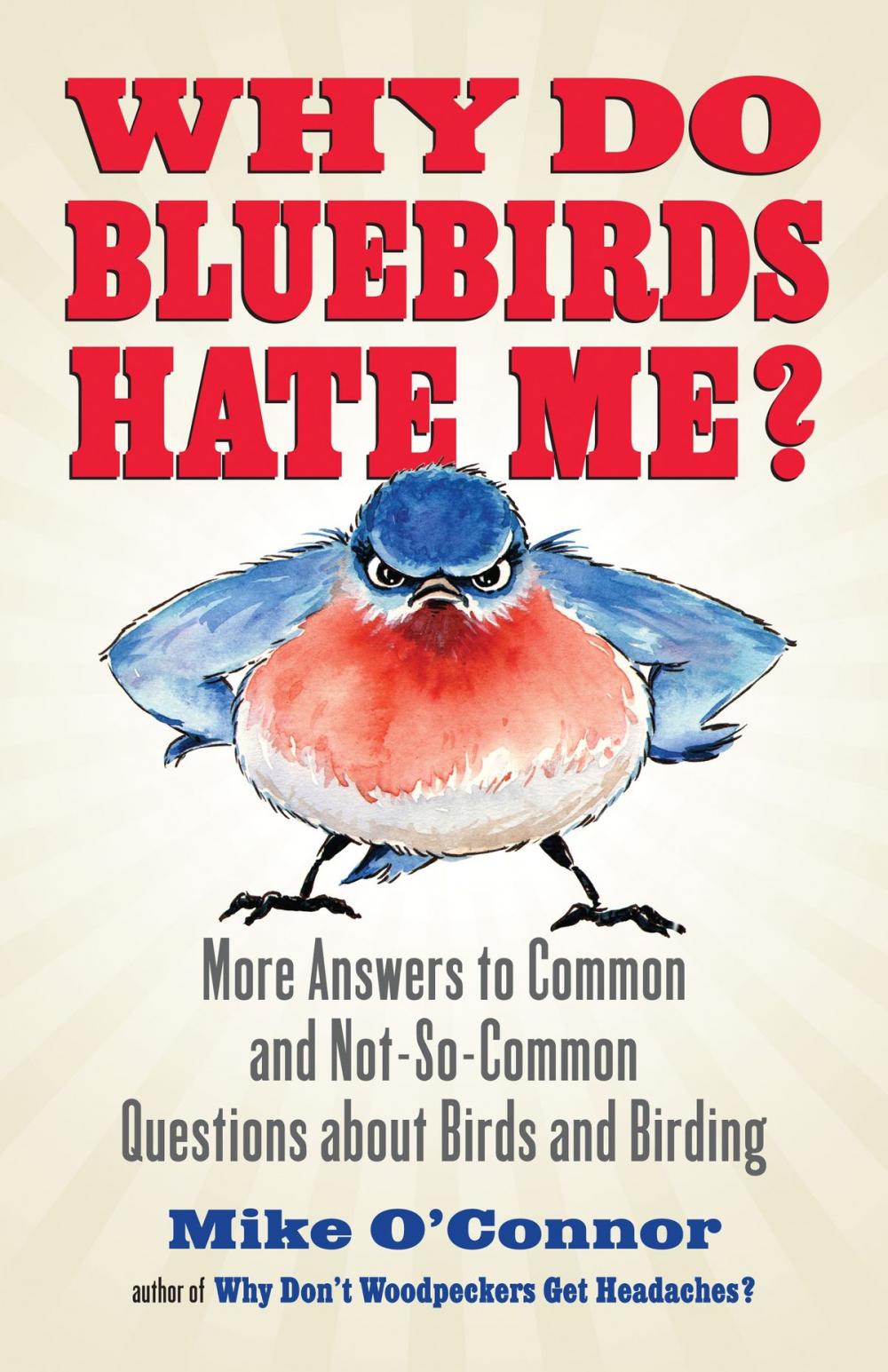 Big bigCover of Why Do Bluebirds Hate Me?