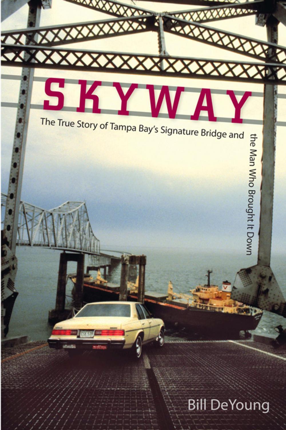 Big bigCover of Skyway