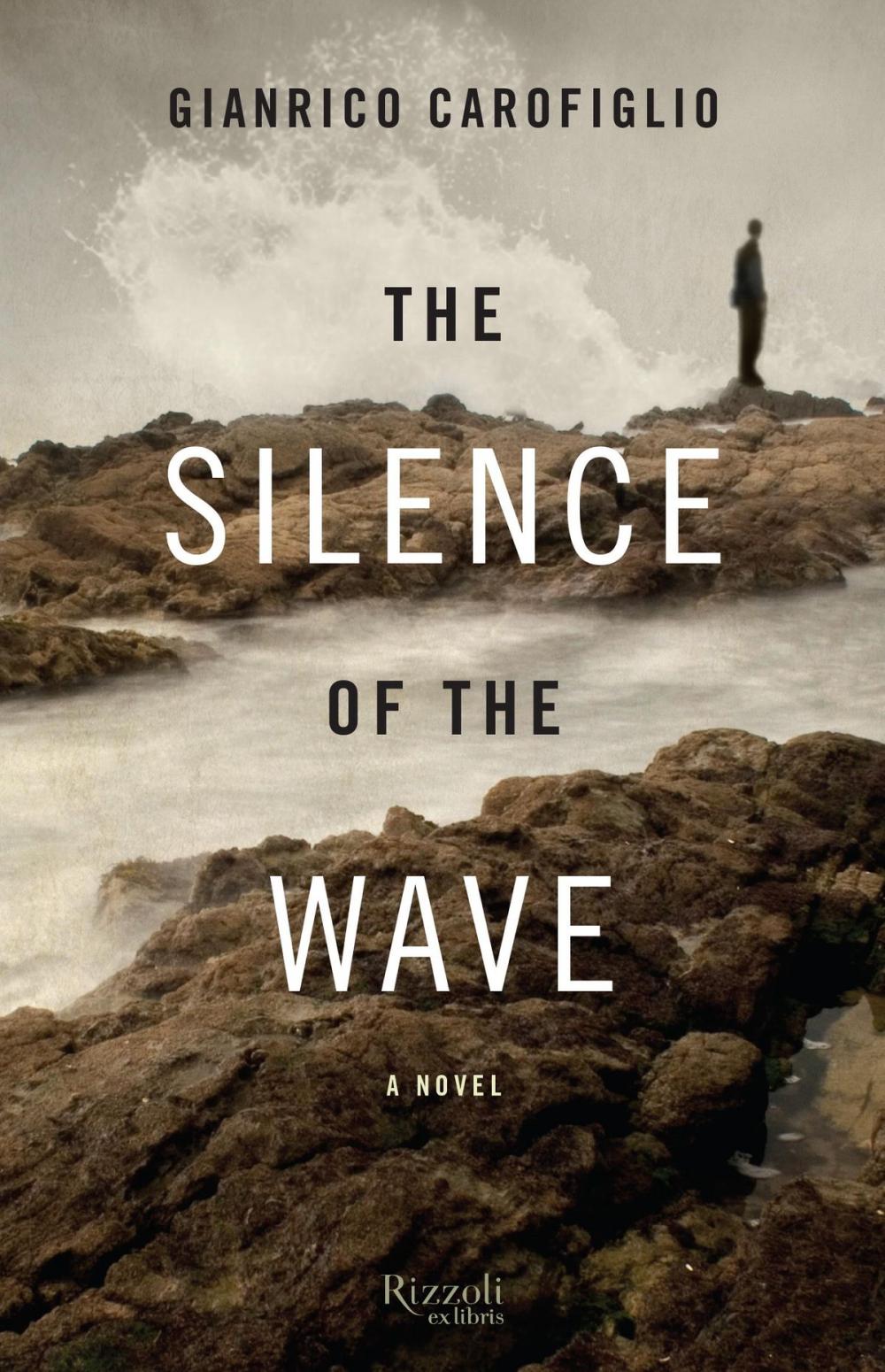 Big bigCover of The Silence of the Wave