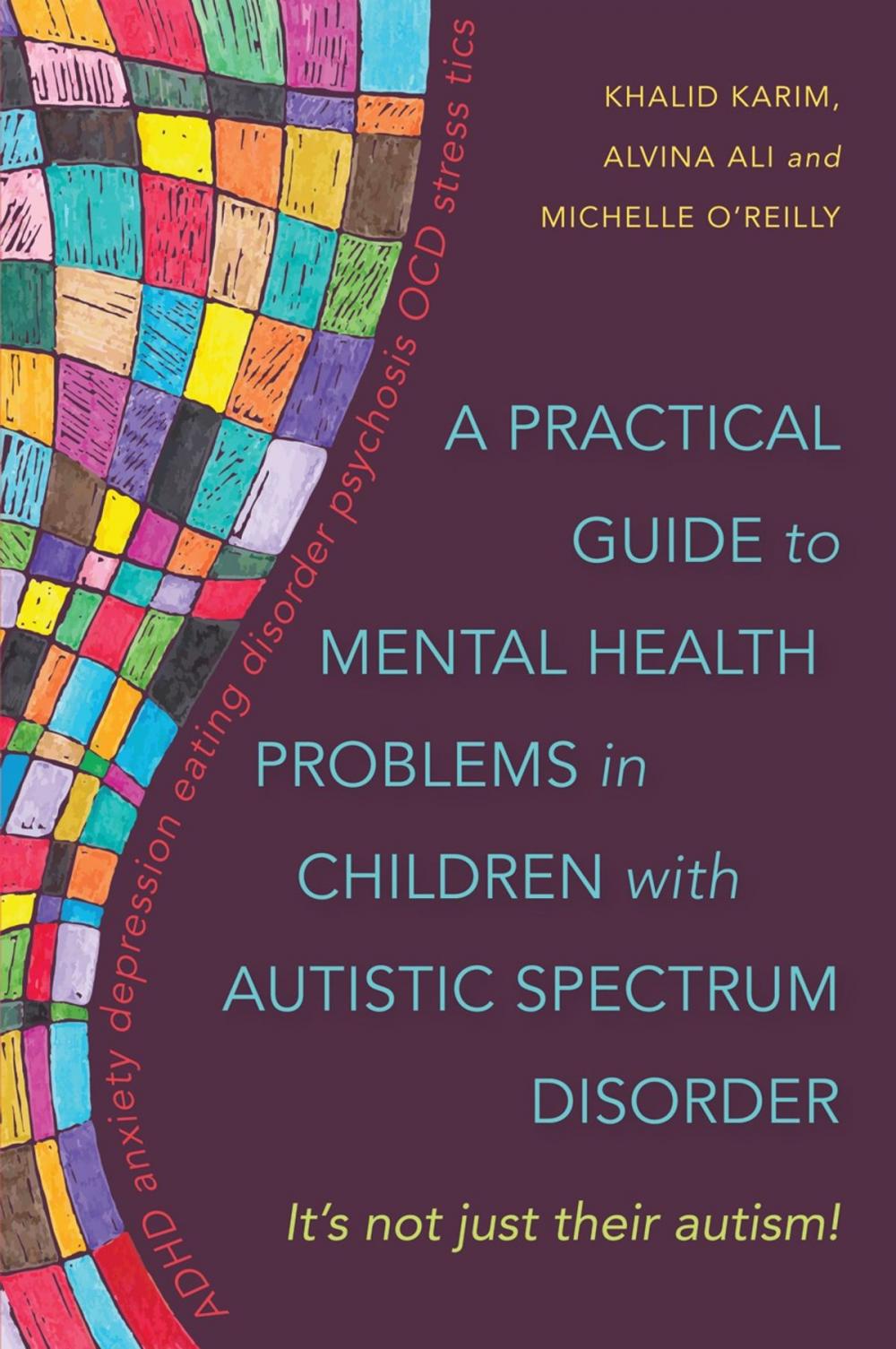 Big bigCover of A Practical Guide to Mental Health Problems in Children with Autistic Spectrum Disorder