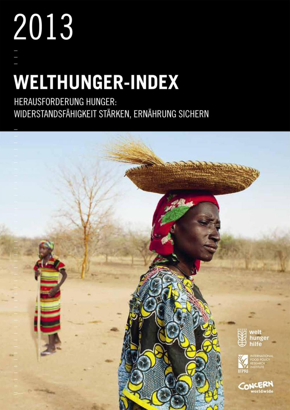 Big bigCover of Welthunger-Index 2013