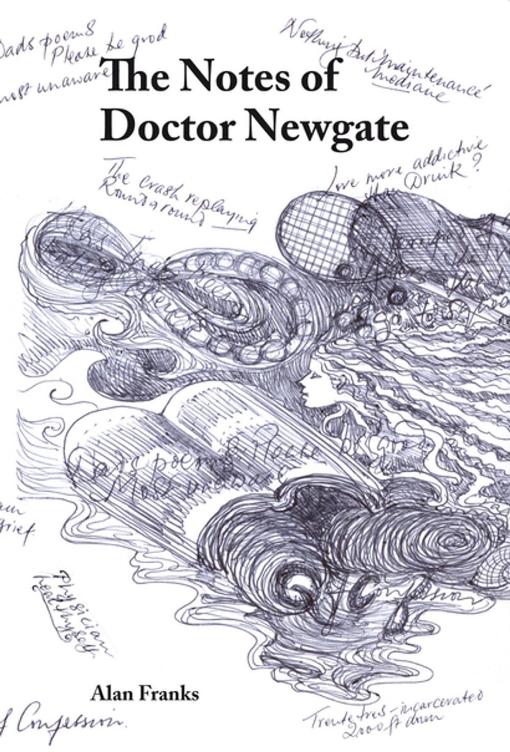 Big bigCover of The Notes of Dr Newgate