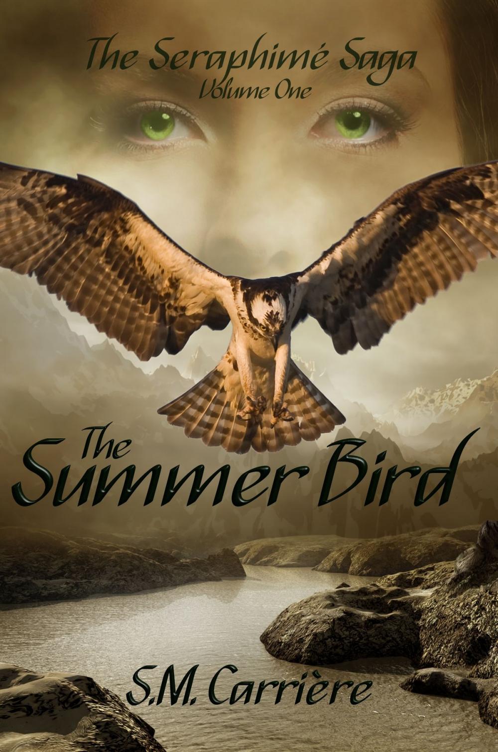 Big bigCover of The Summer Bird