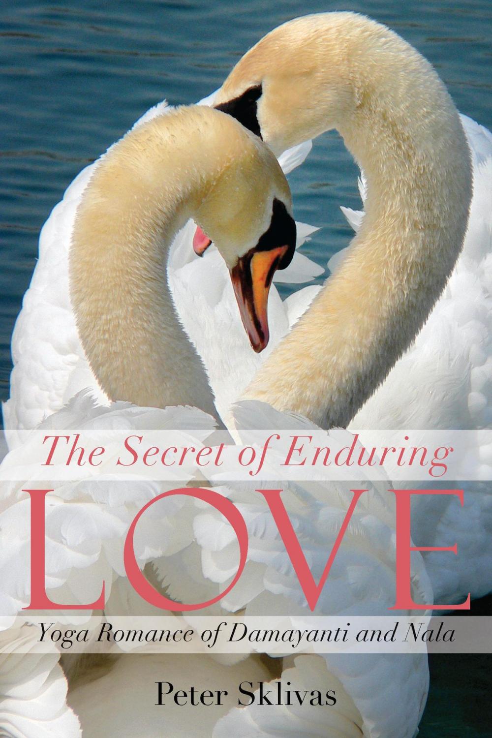 Big bigCover of The Secret of Enduring Love