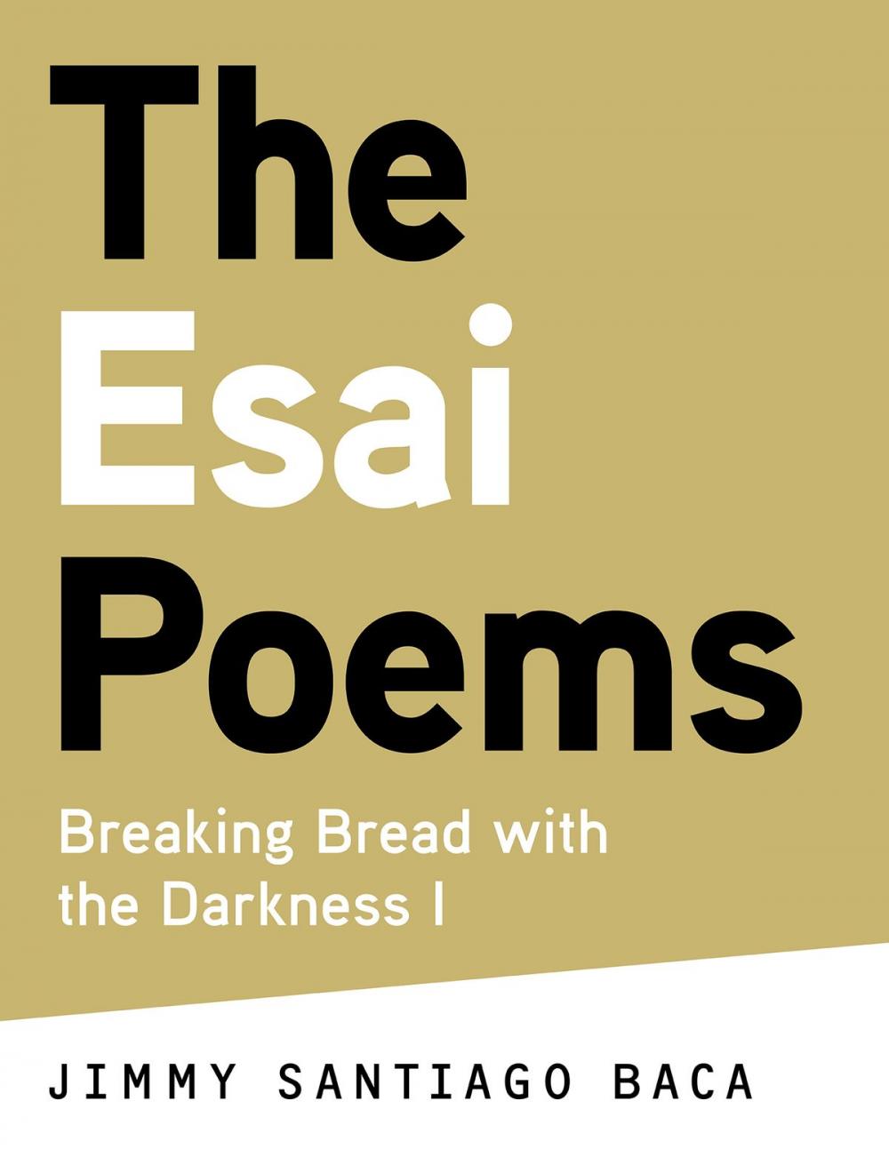 Big bigCover of The Esai Poems