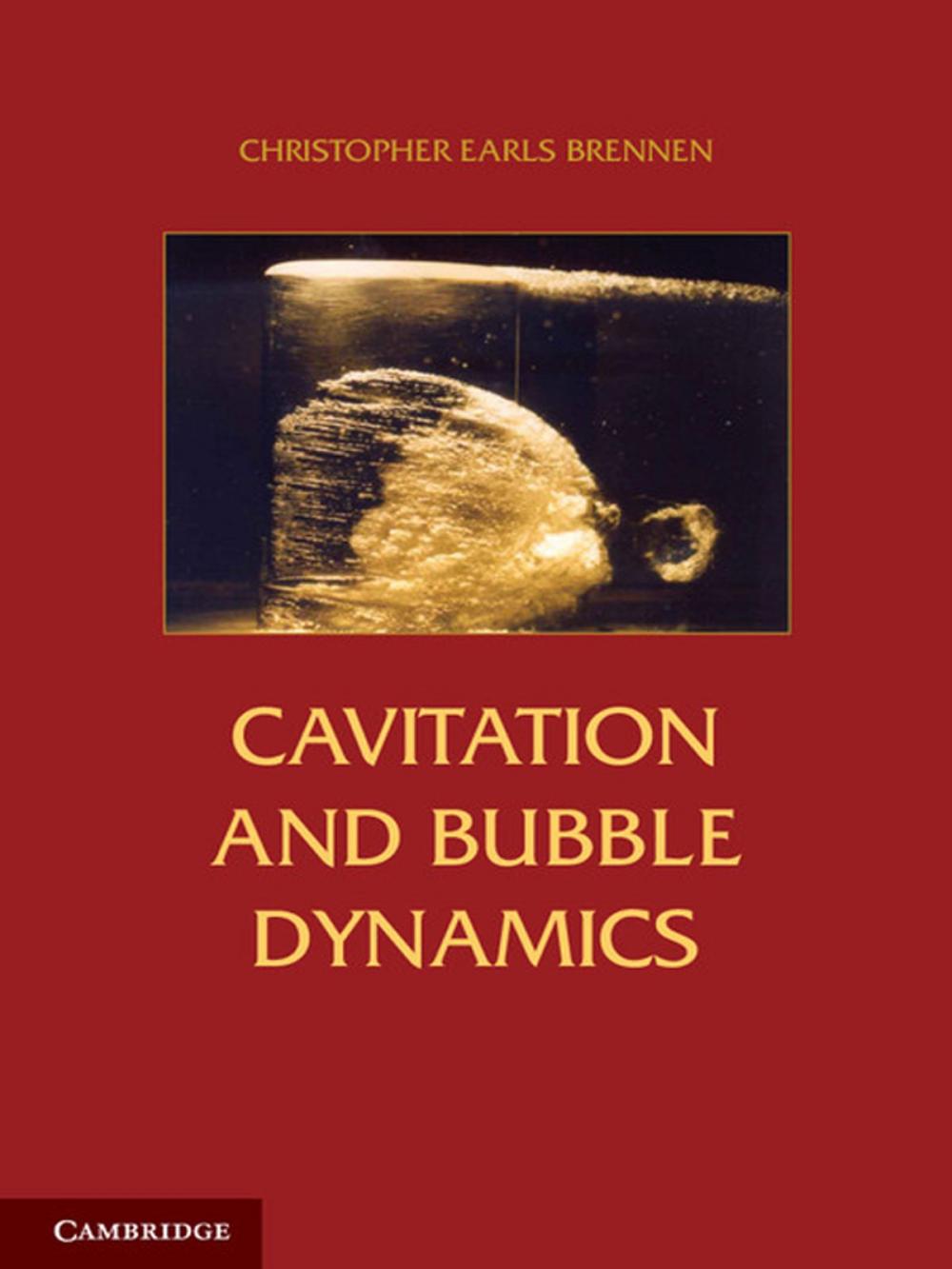 Big bigCover of Cavitation and Bubble Dynamics