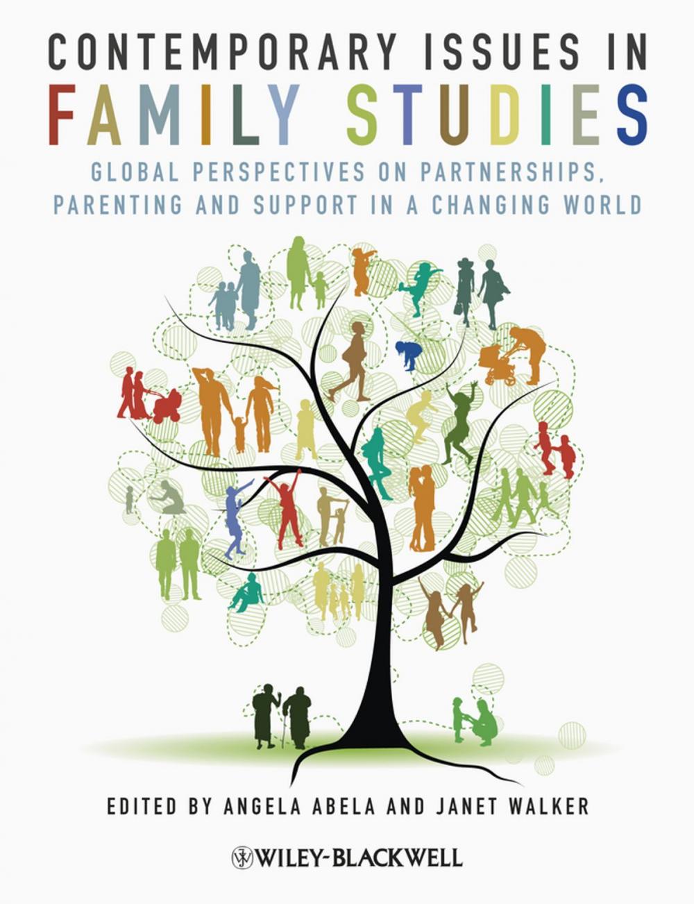 Big bigCover of Contemporary Issues in Family Studies