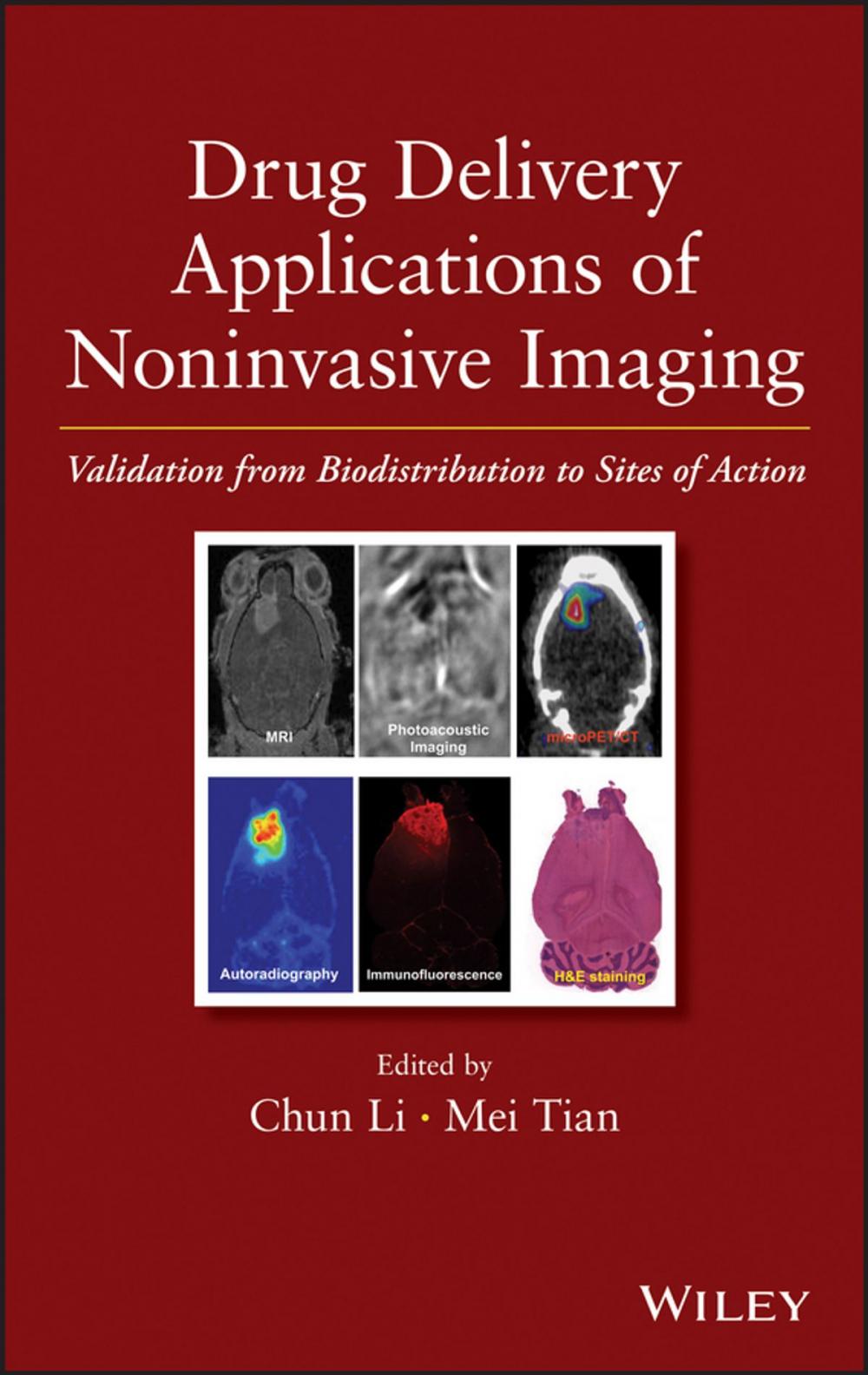 Big bigCover of Drug Delivery Applications of Noninvasive Imaging