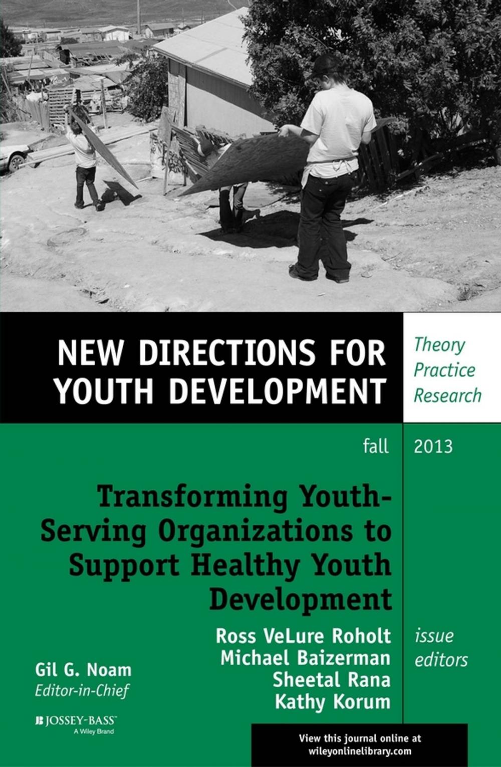 Big bigCover of Transforming Youth Serving Organizations to Support Healthy Youth Development