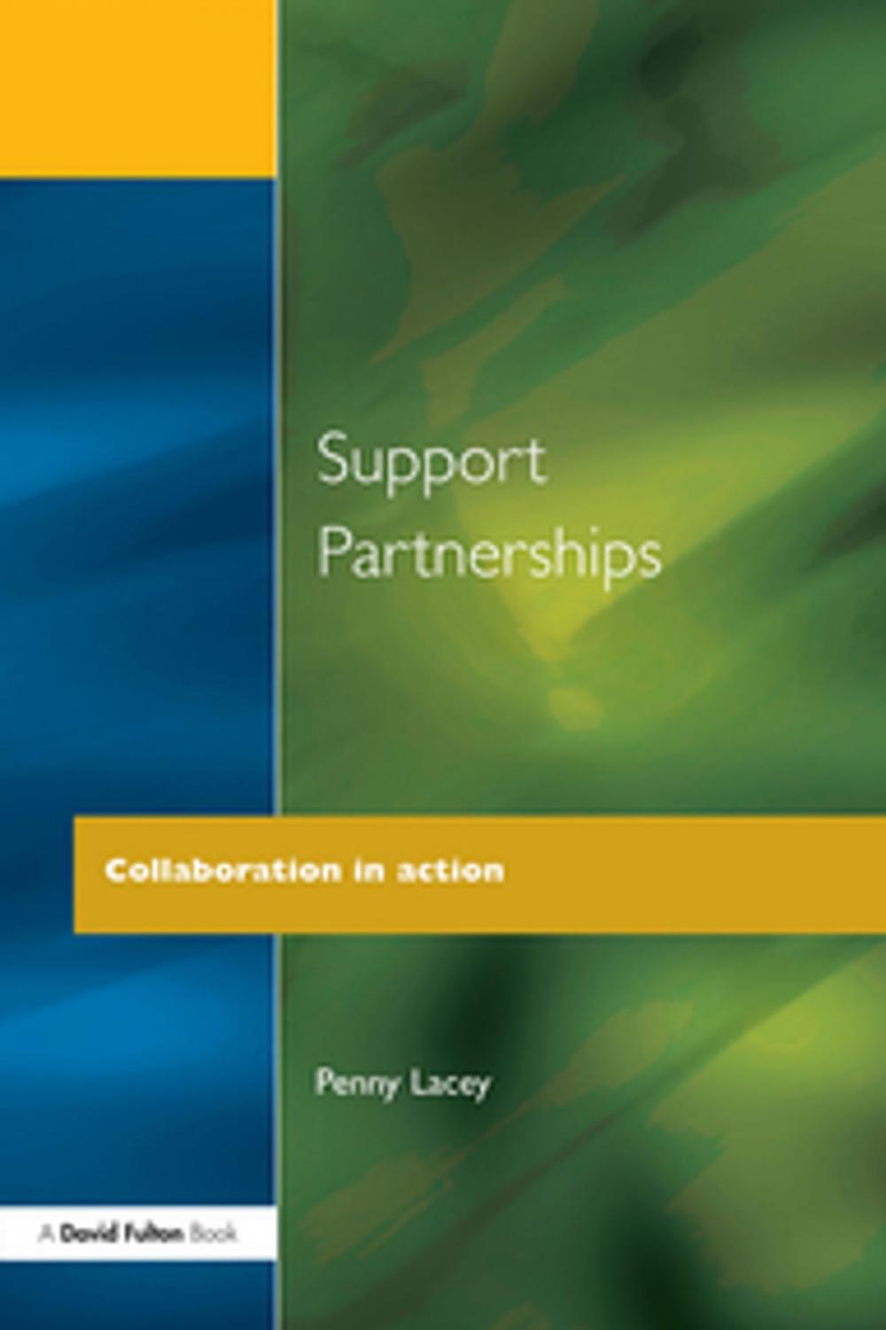 Big bigCover of Support Partnerships