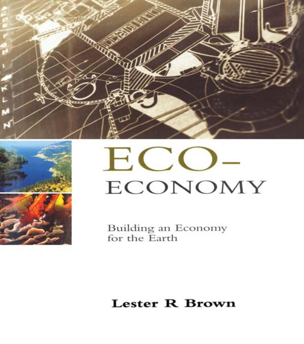 Big bigCover of Eco-Economy