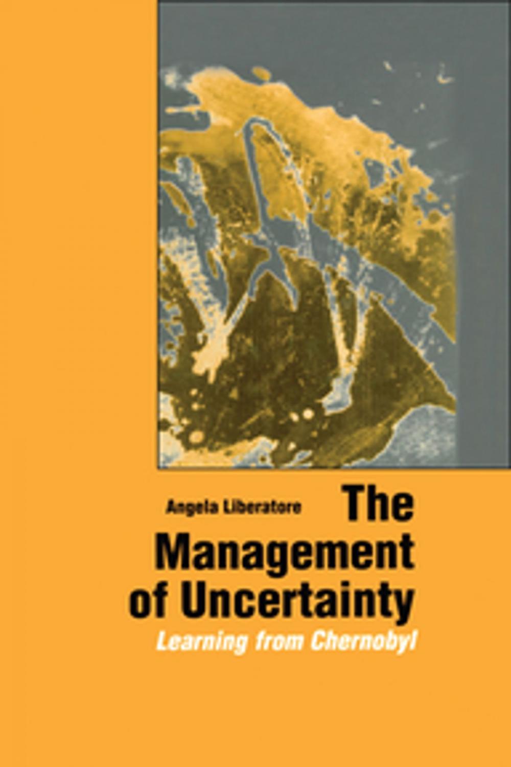 Big bigCover of The Management of Uncertainty