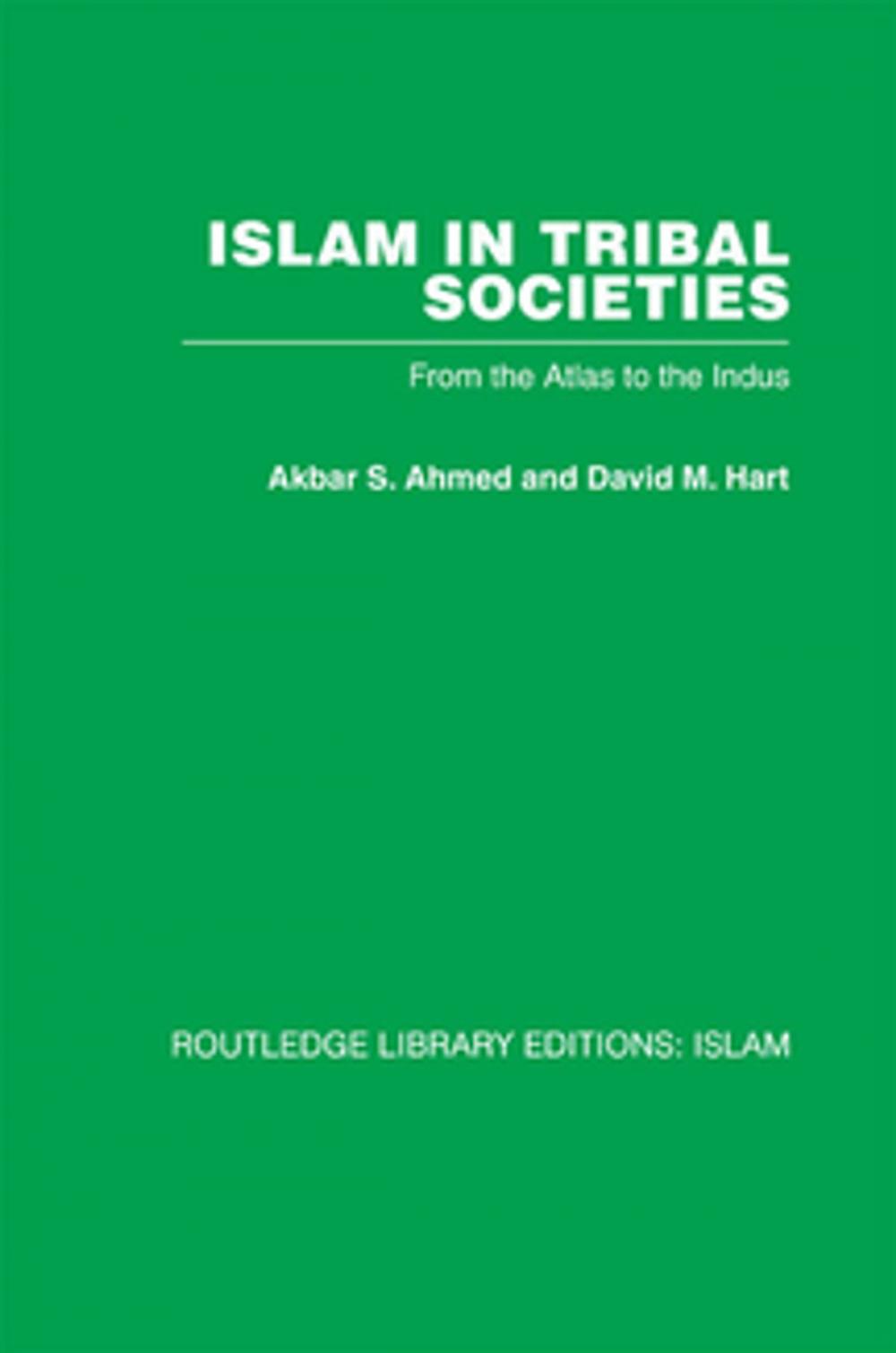 Big bigCover of Islam in Tribal Societies