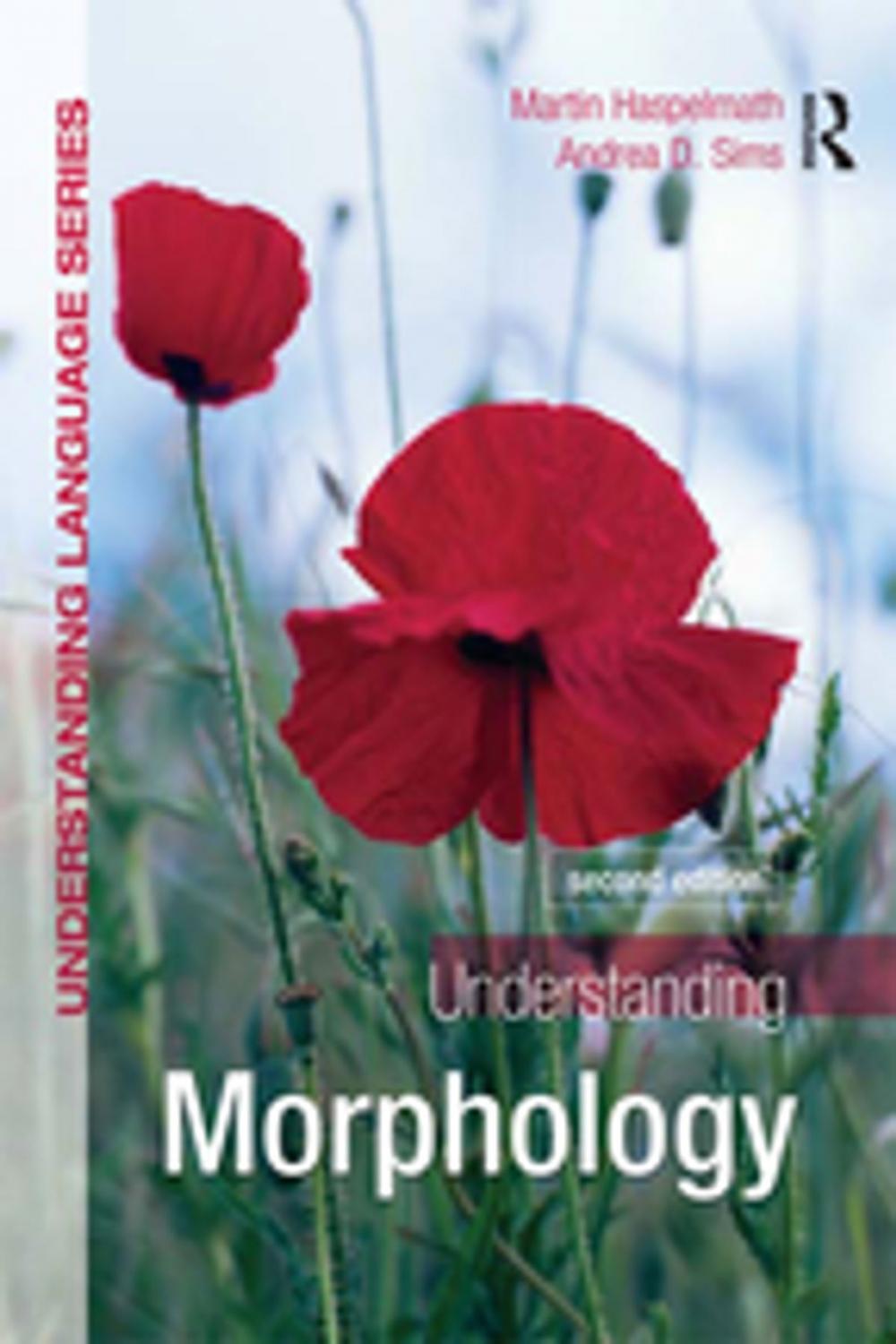 Big bigCover of Understanding Morphology