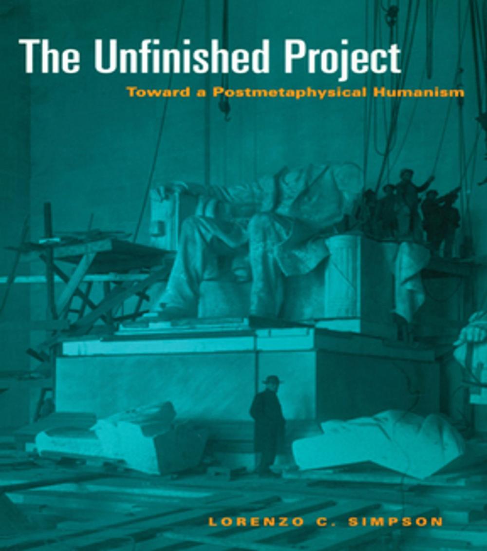 Big bigCover of The Unfinished Project