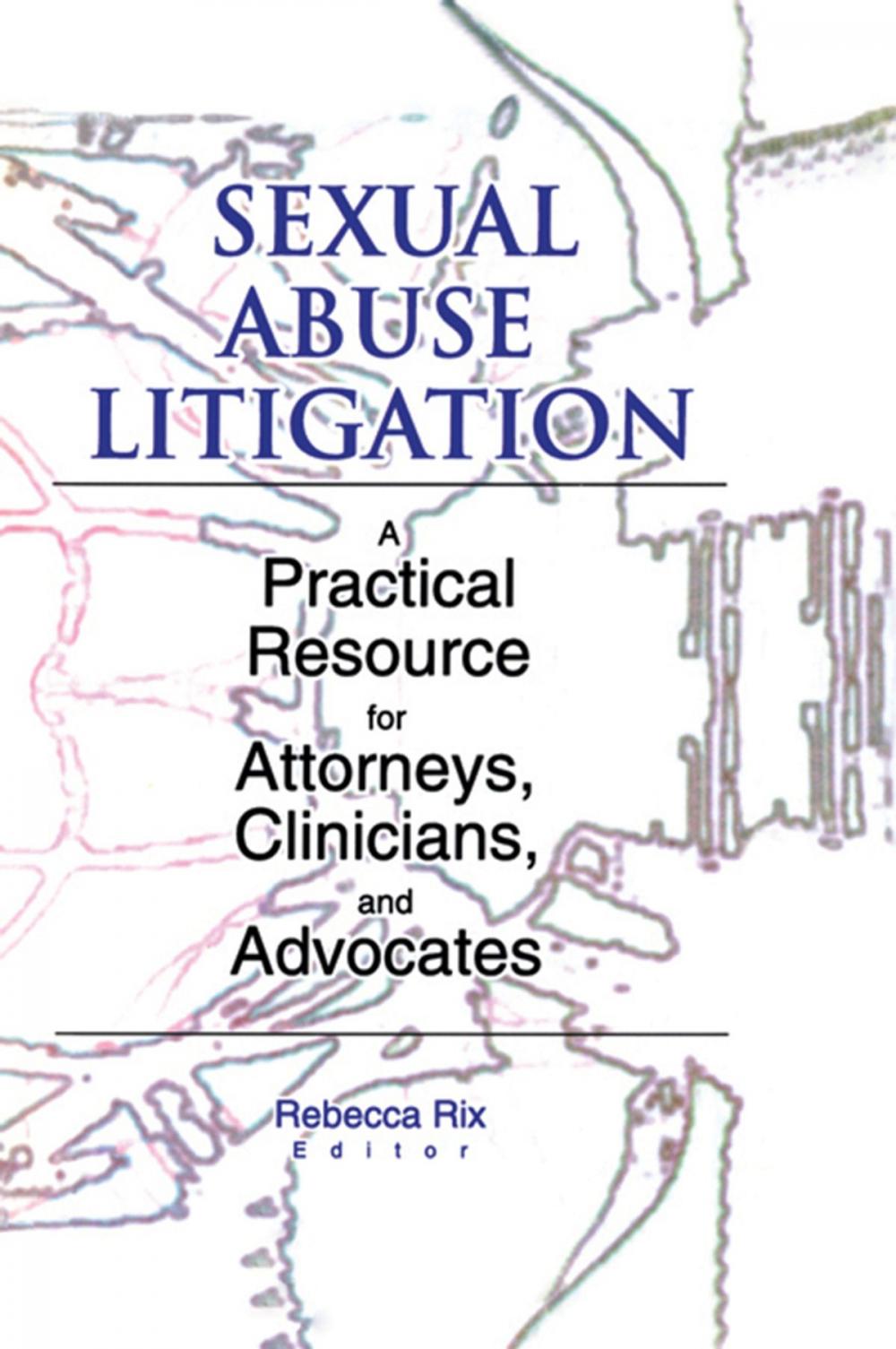 Big bigCover of Sexual Abuse Litigation