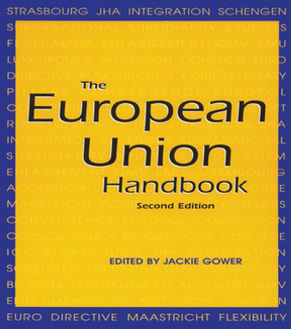 Big bigCover of The European Union Handbook