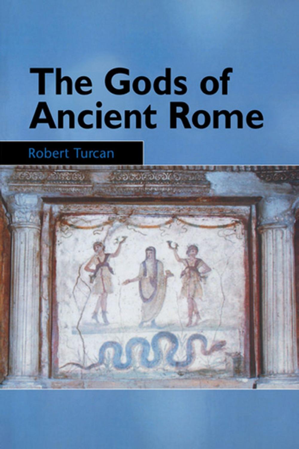 Big bigCover of The Gods of Ancient Rome