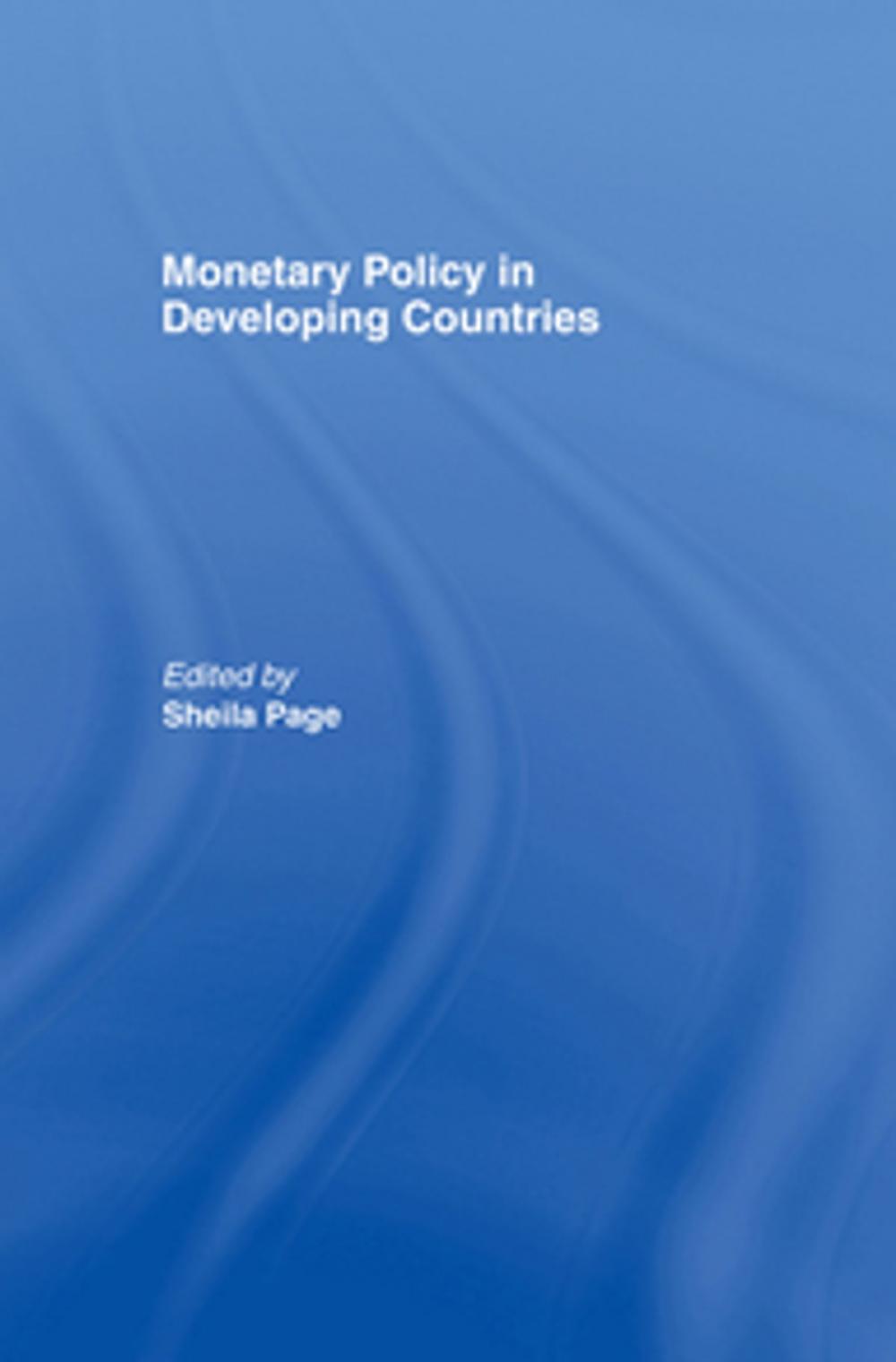 Big bigCover of Monetary Policy in Developing Countries