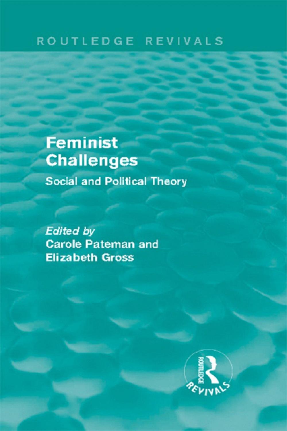 Big bigCover of Feminist Challenges