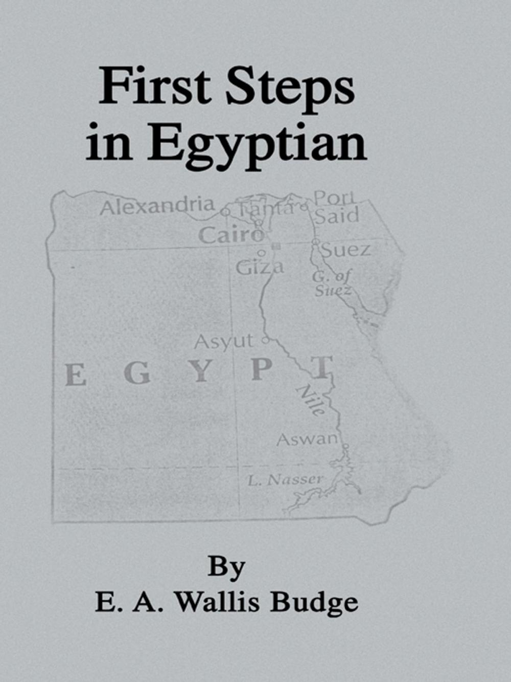 Big bigCover of First Steps In Egyptian