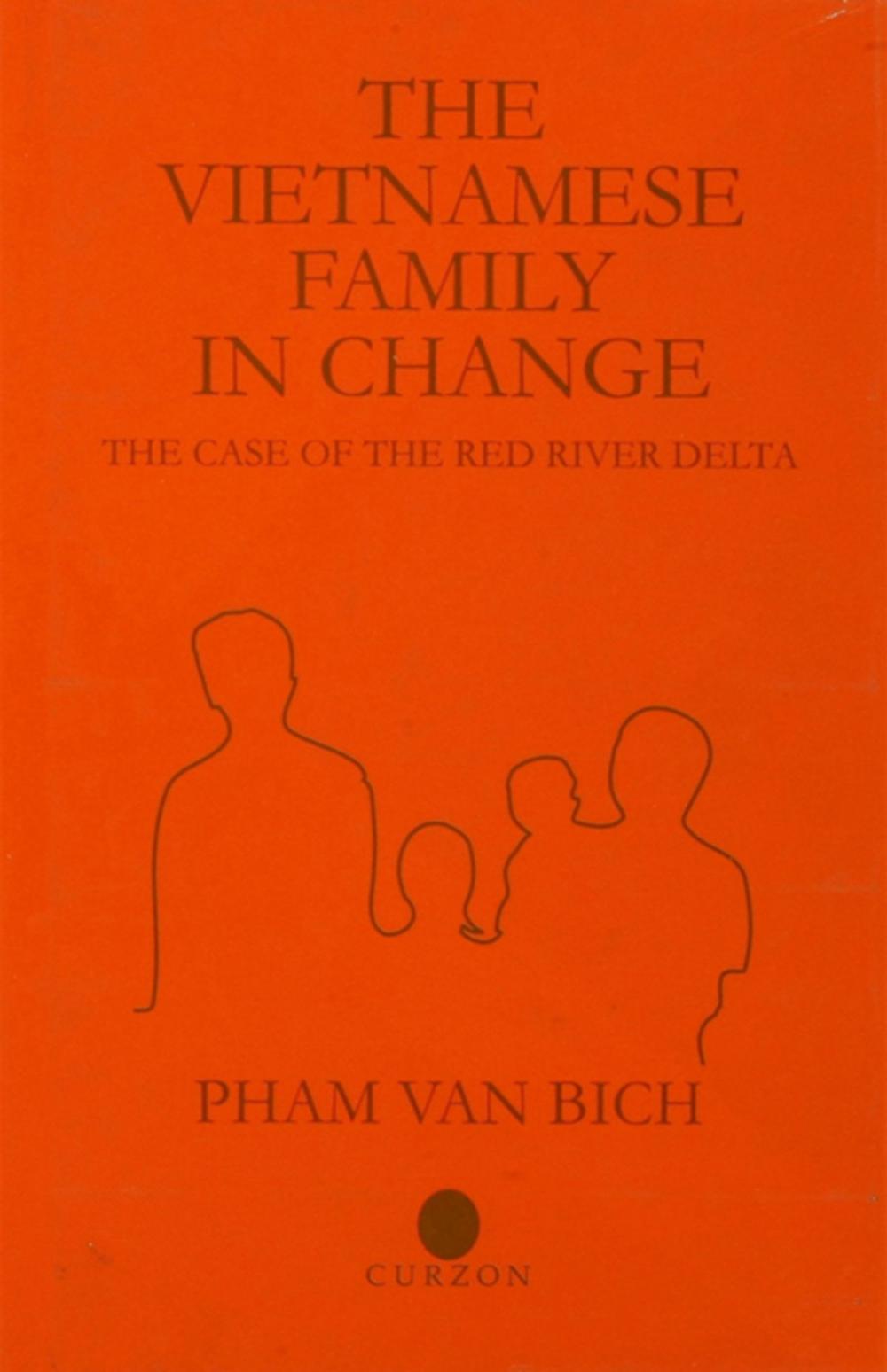 Big bigCover of The Vietnamese Family in Change