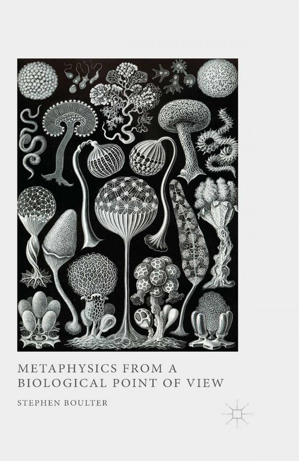 Big bigCover of Metaphysics from a Biological Point of View