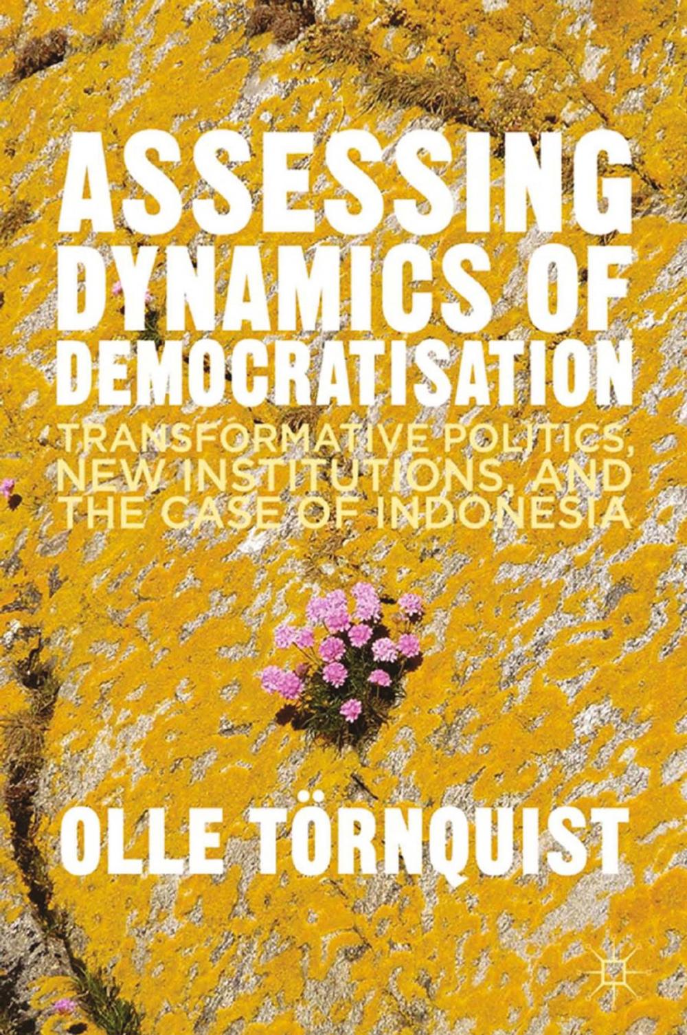 Big bigCover of Assessing Dynamics of Democratisation