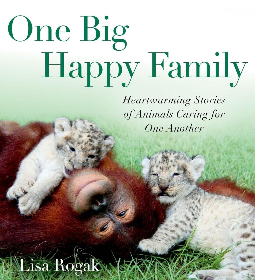 Big bigCover of One Big Happy Family