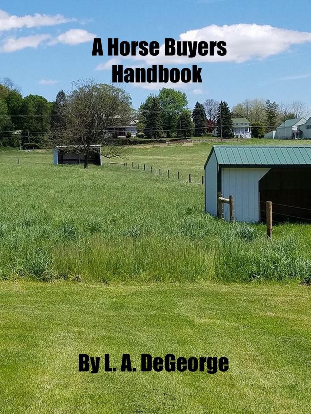 Big bigCover of A Horse Buyers Handbook