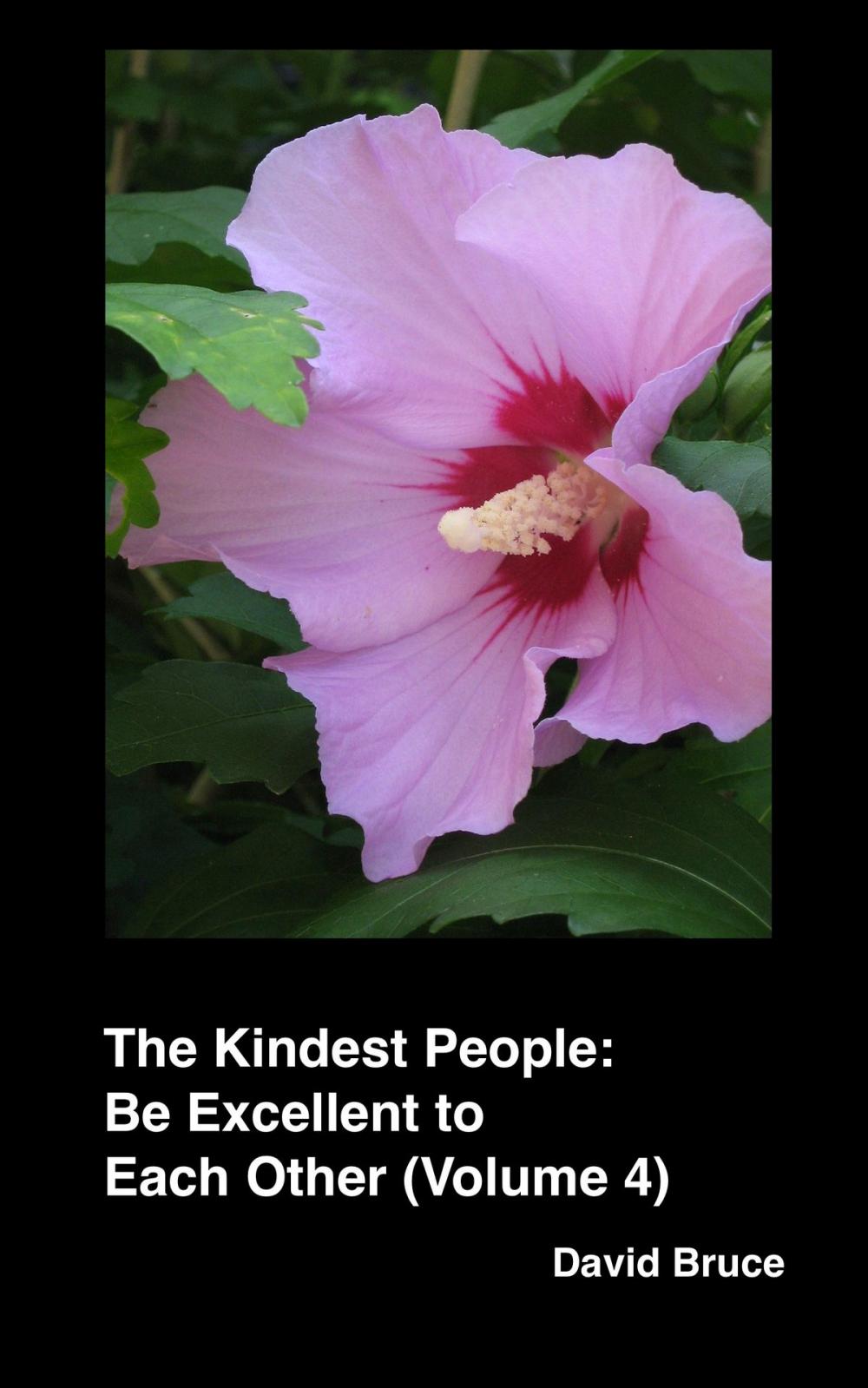 Big bigCover of The Kindest People: Be Excellent to Each Other (Volume 4)