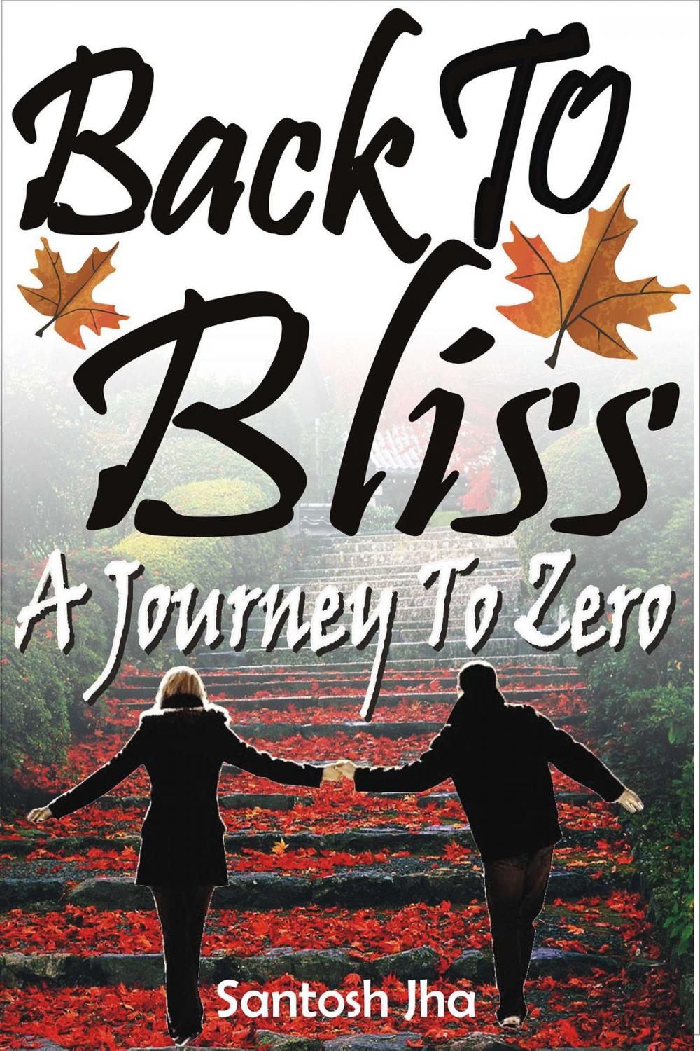 Big bigCover of Back To Bliss: A Journey To Zero