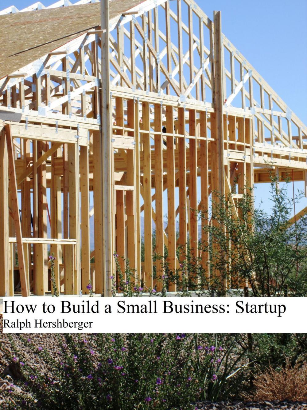 Big bigCover of How to Build a Small Business: Startup
