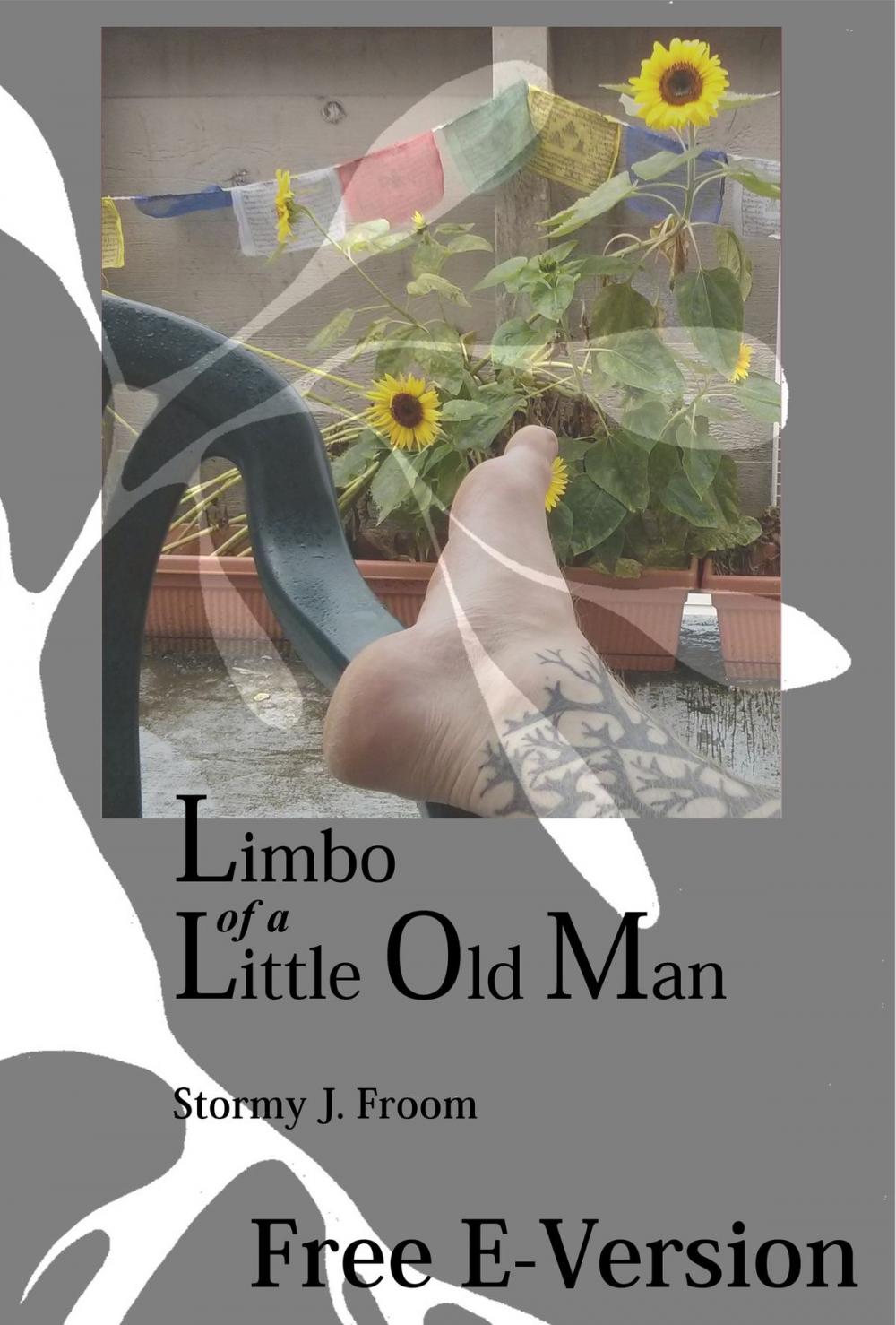 Big bigCover of Limbo of a Little Old Man
