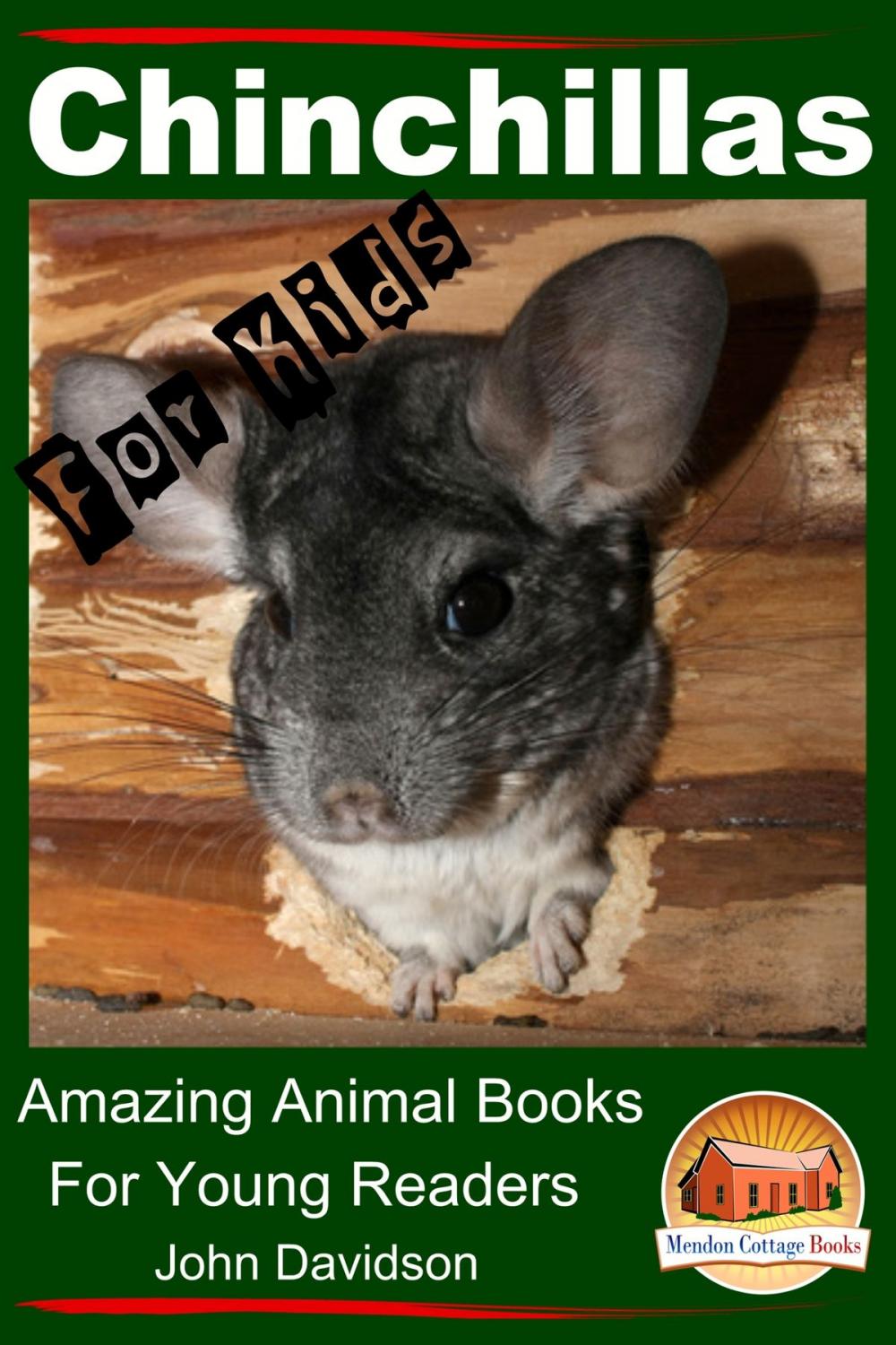 Big bigCover of Chinchillas: For Kids - Amazing Animal Books For Young Readers