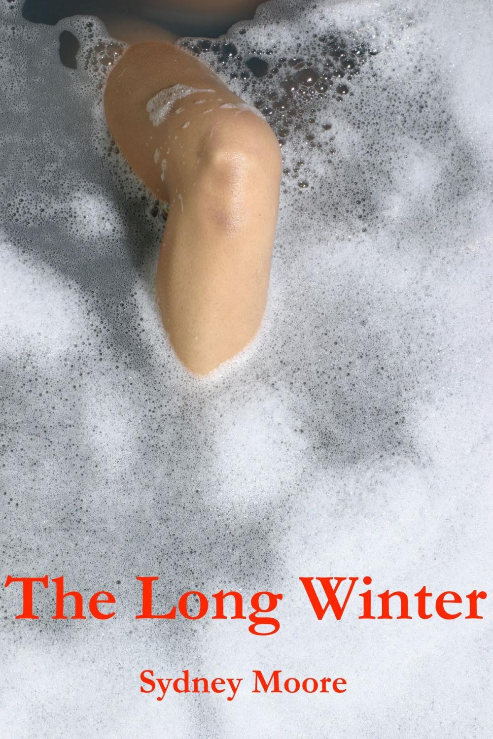 Big bigCover of The Long Winter