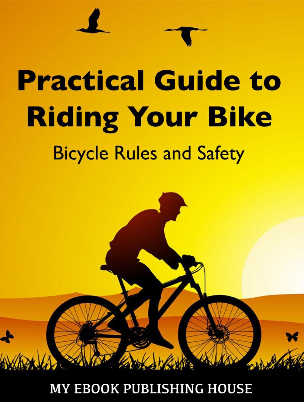 Big bigCover of Practical Guide to Riding Your Bike: Bicycle Rules and Safety