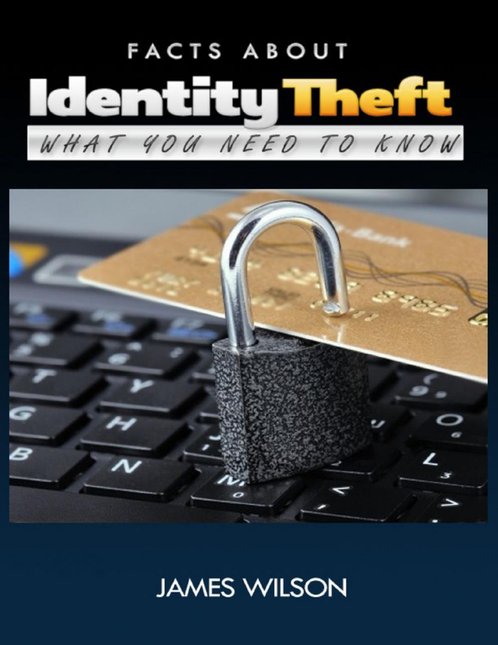 Big bigCover of Facts About Identity Theft: All You Need to Know