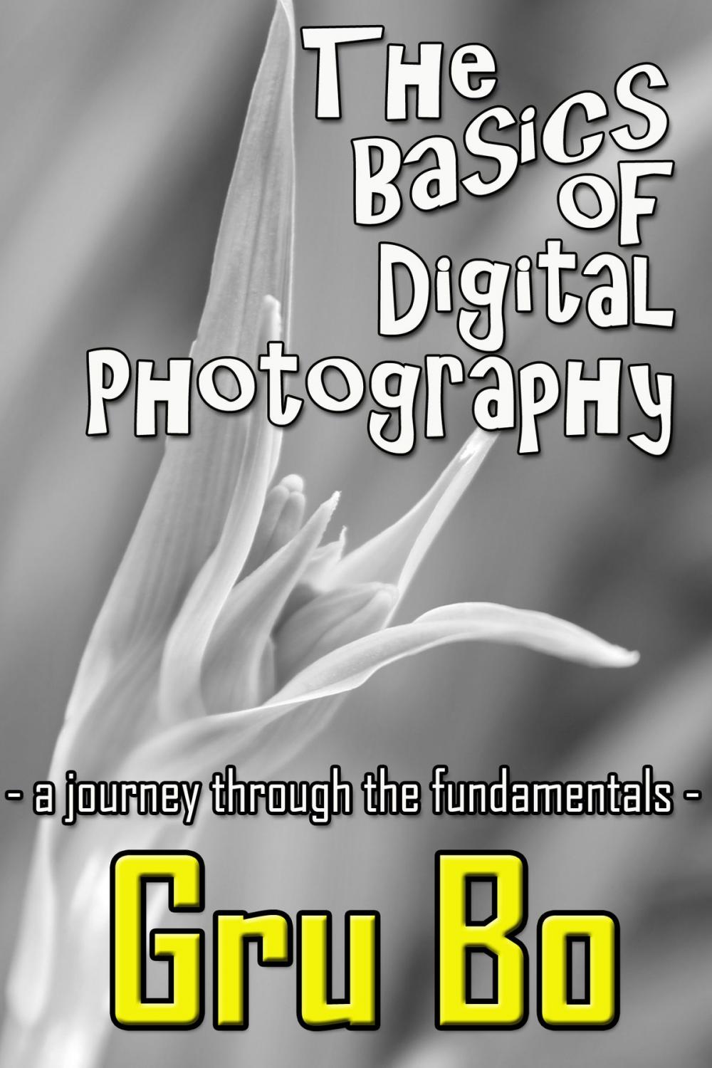 Big bigCover of The Basics of Digital Photography: A Journey Through The Fundamentals