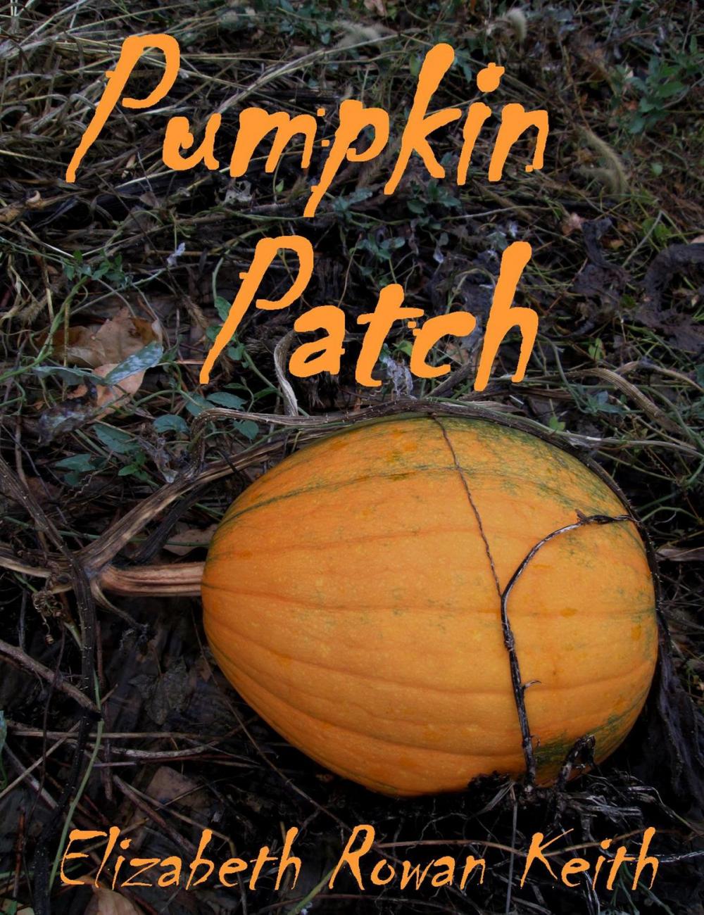 Big bigCover of Pumpkin Patch