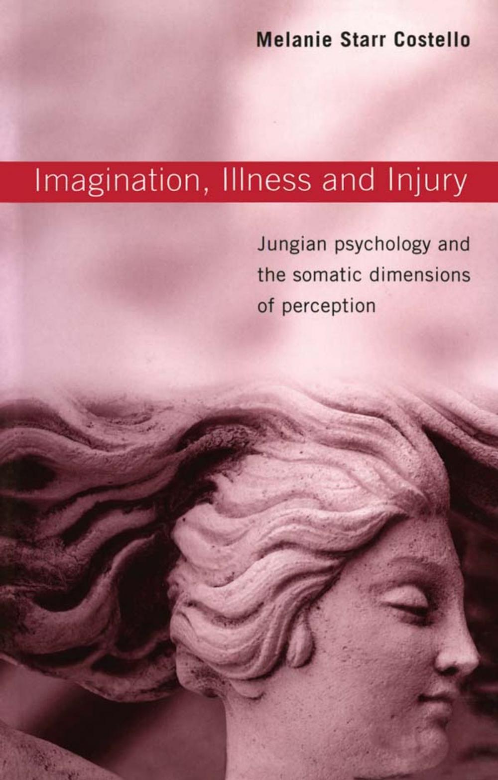 Big bigCover of Imagination, Illness and Injury