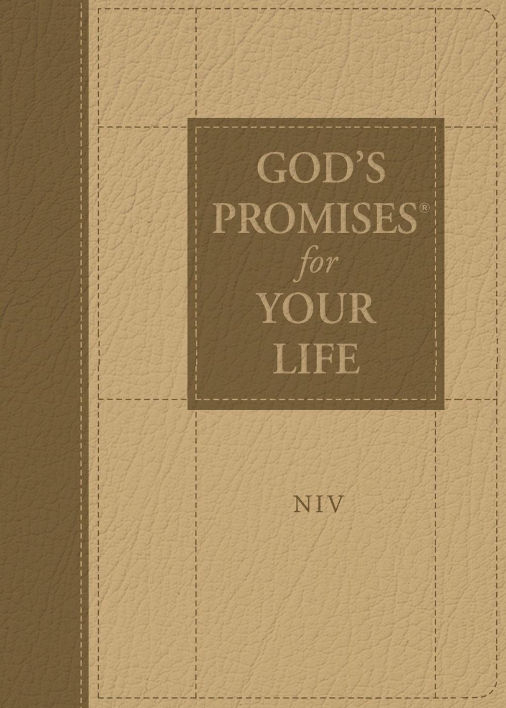 Big bigCover of God's Promises for Your Life