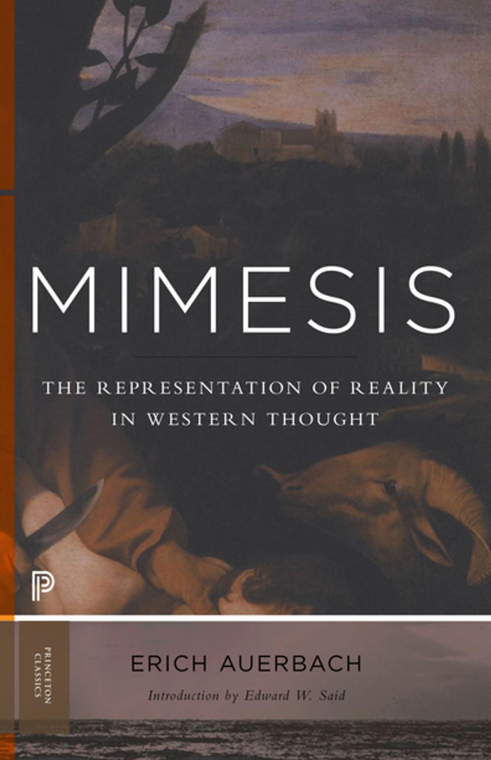 Big bigCover of Mimesis