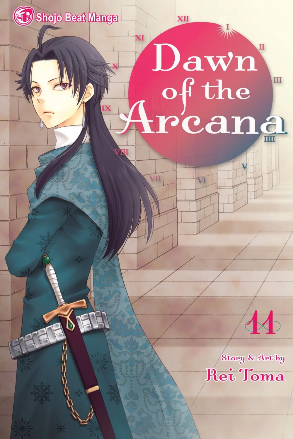 Big bigCover of Dawn of the Arcana, Vol. 11