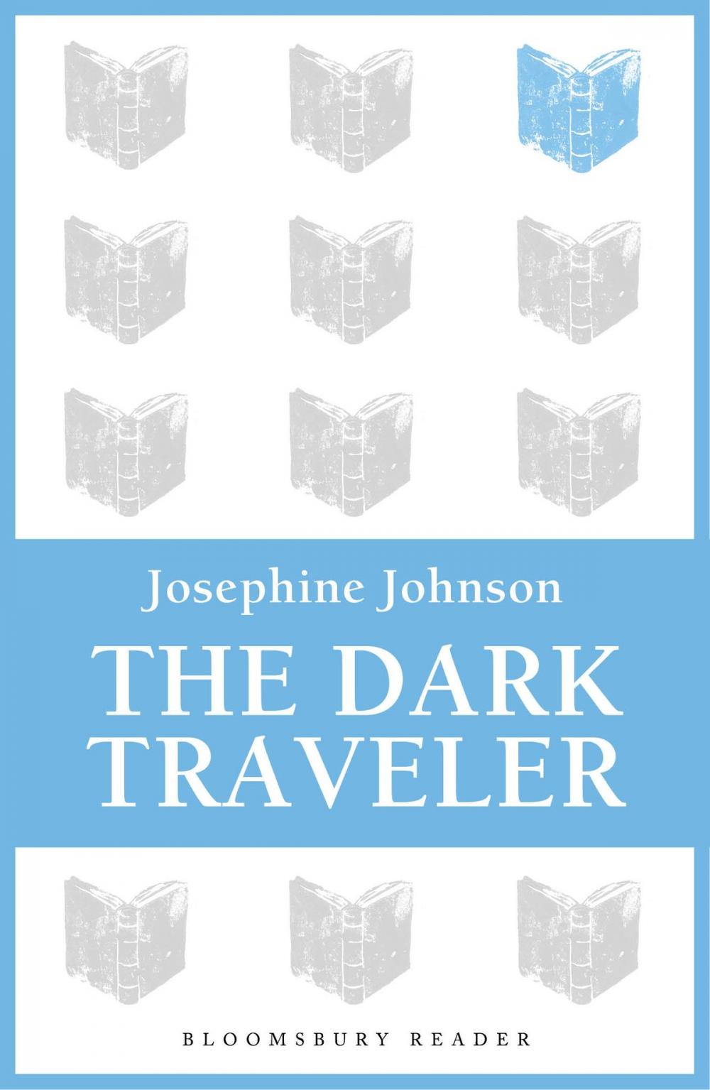 Big bigCover of The Dark Traveler