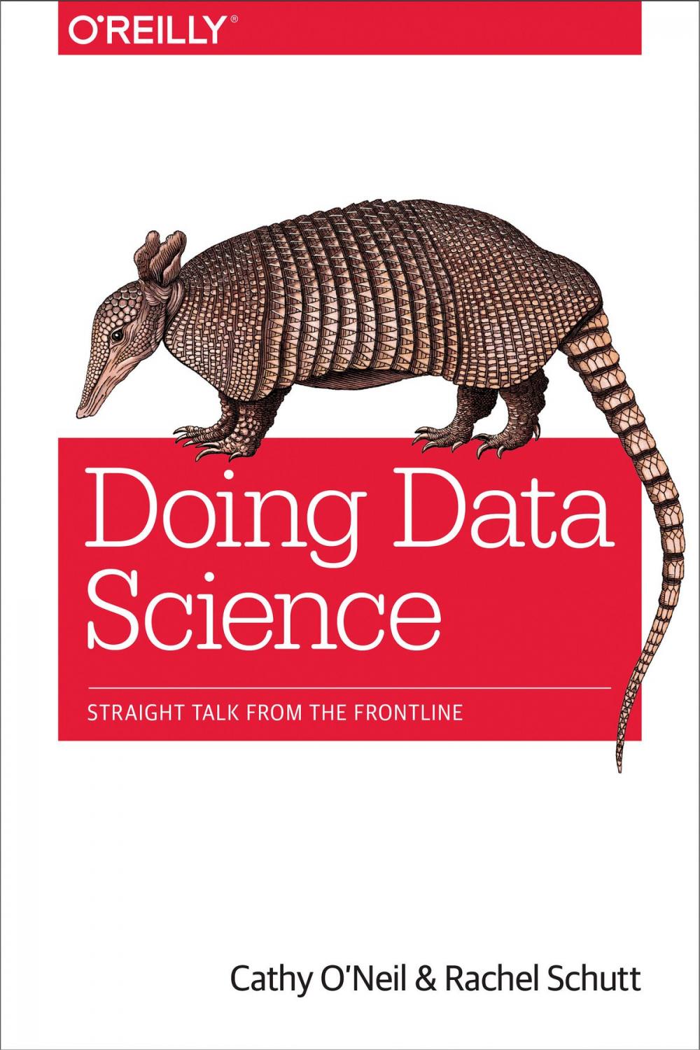 Big bigCover of Doing Data Science